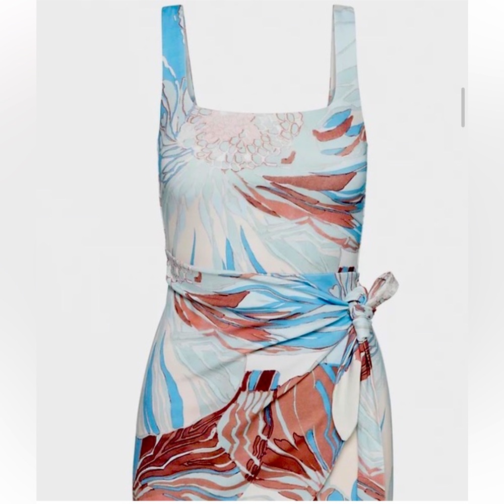 BNWT Aritzia Saturn Dress